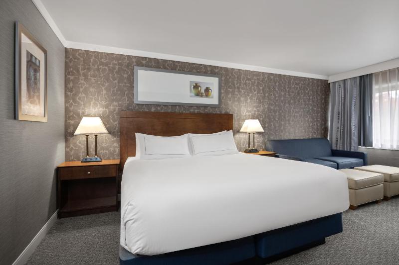 Premium Studio Suite with King Bed image 3
