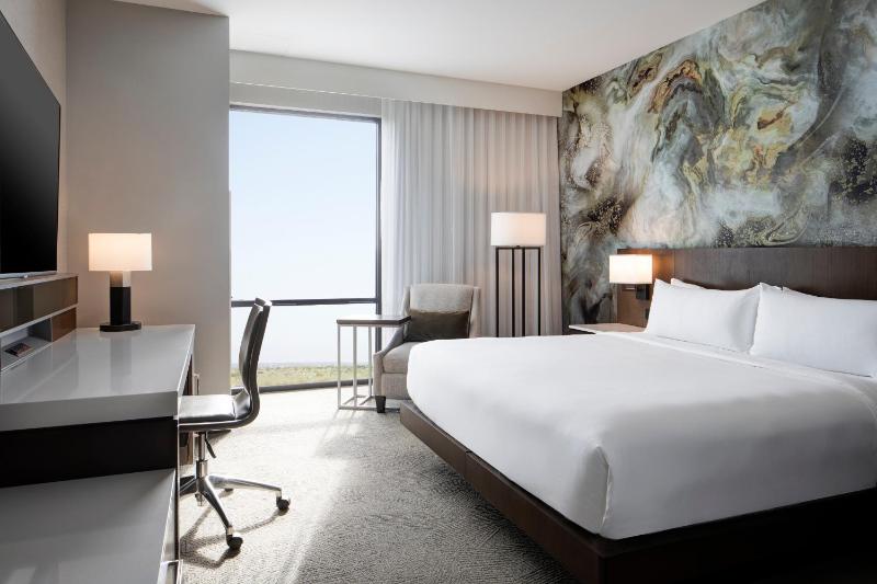Deluxe King Room image 1