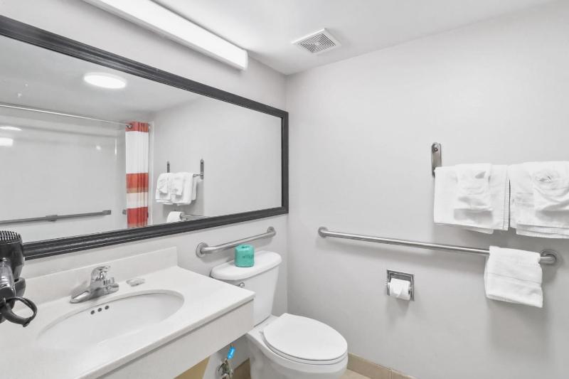 Deluxe King Room Disability Access Roll-ln Shower Non-Smoking image 3