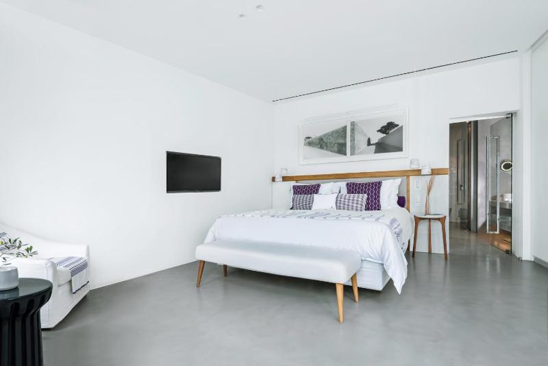 Deluxe Double Room with Plunge Pool image 3