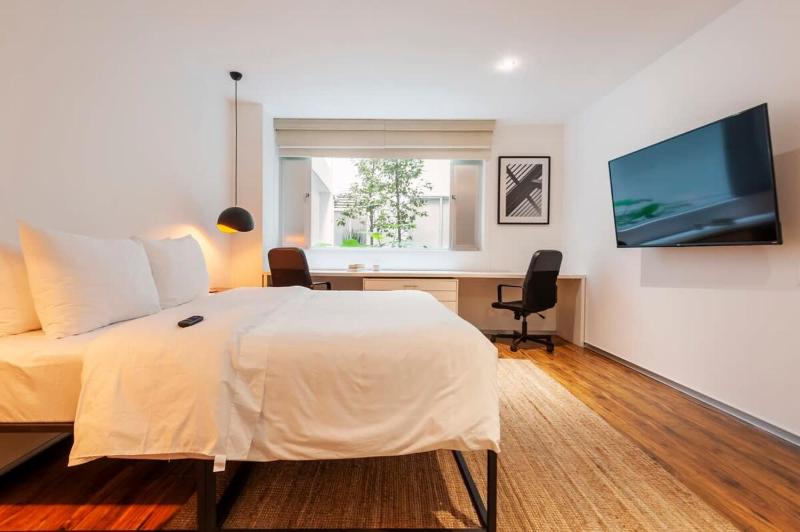 Homey 2BR in Condesa - image 11