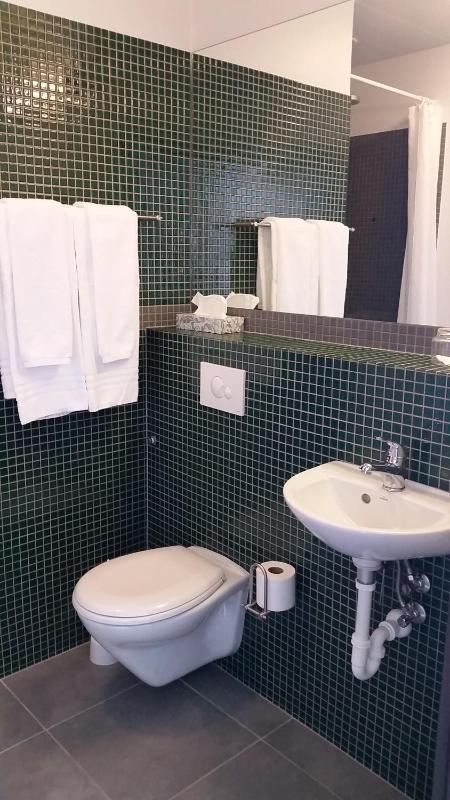 Single Room image 3
