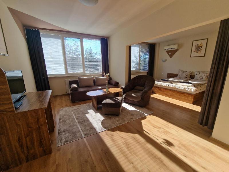 King Studio with Sofa Bed image 3