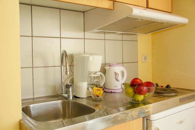 One-Bedroom Apartment with Terrace image 4
