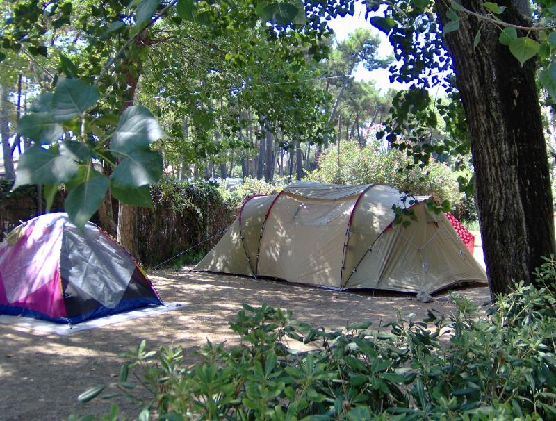 Empty lot (bring your own tent) image 3