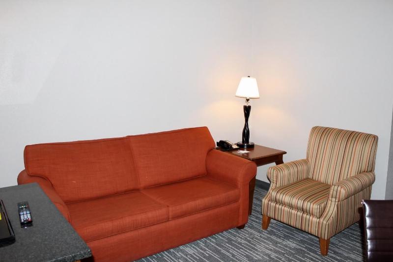 One-Bedroom King Suite image 2