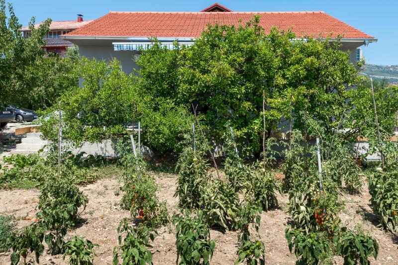 Seaside holiday house Kastel Stafilic Kastela - 22438 - image 5