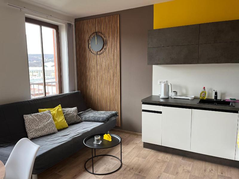 Yellow apartment Deluxe - image 9