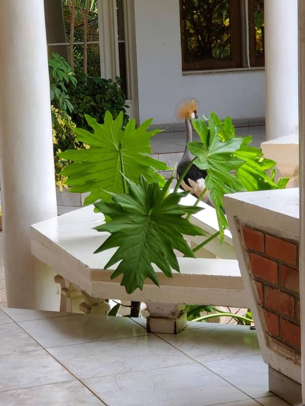 Kiriri Residence Hotel - image 14