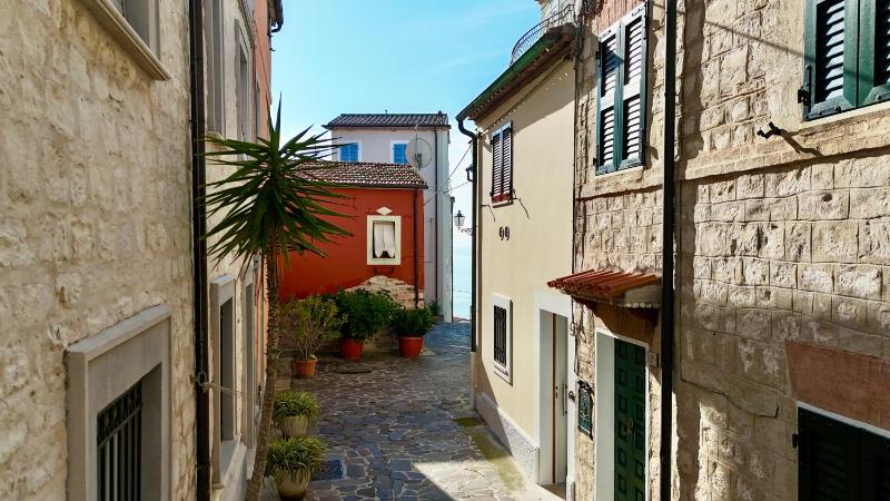Casa dell'artista - Numana meravigliosa casetta cielo-terra - image 12