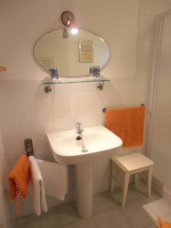 Two-Bedroom Apartment image 4