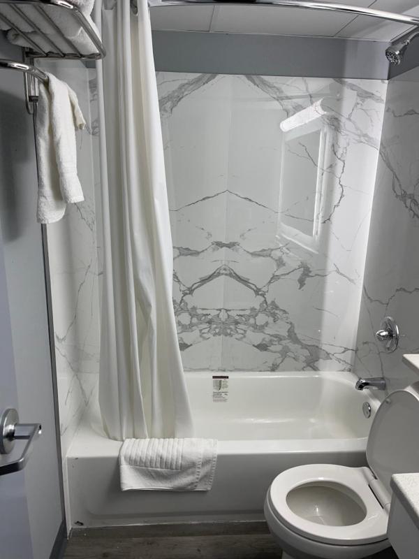 Deluxe Double Room (1 adult + 2 children) image 4