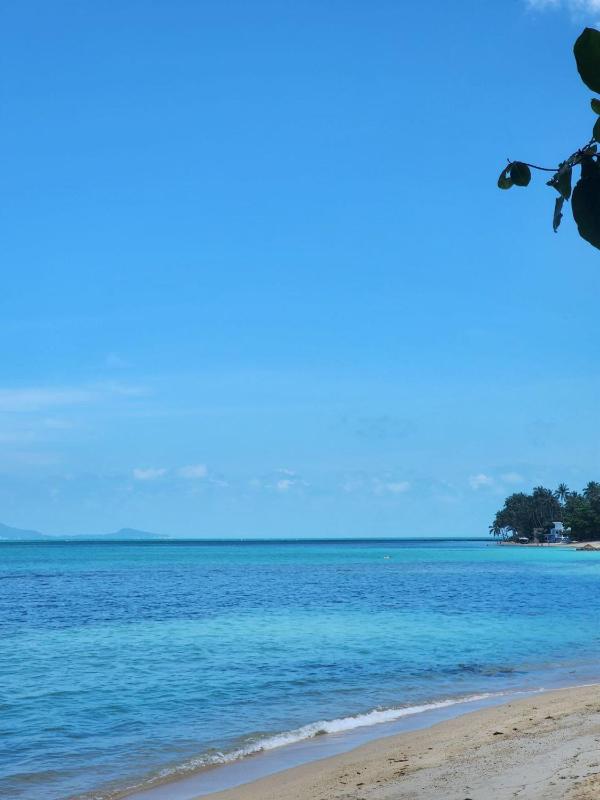 A Little Bungalows By Beach - image 6