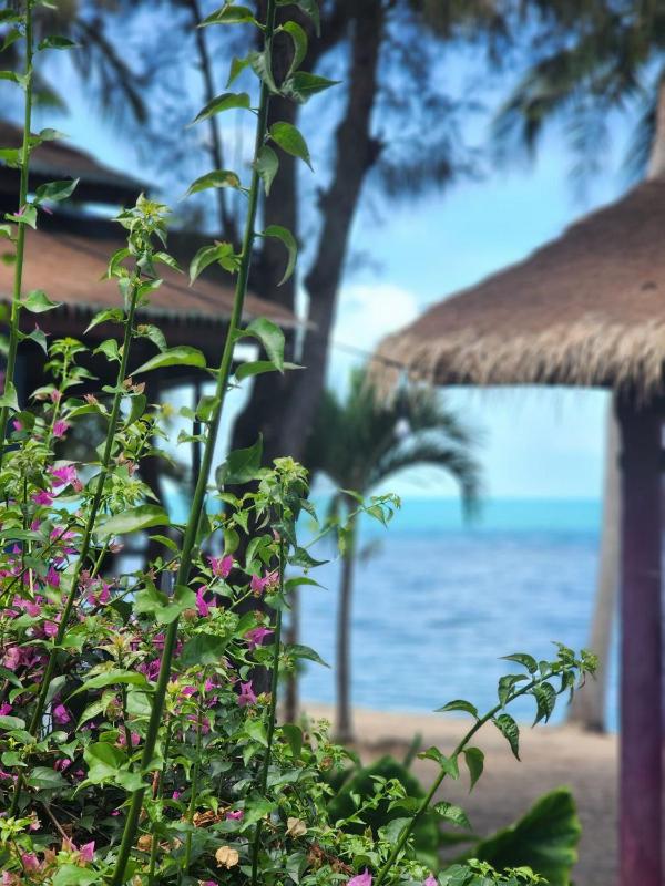 A Little Bungalows By Beach - image 29
