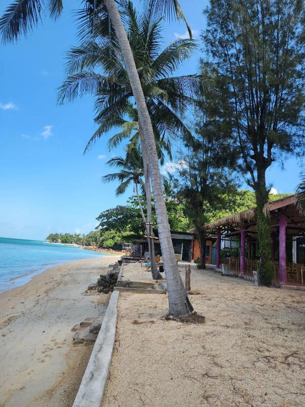 A Little Bungalows By Beach - image 5