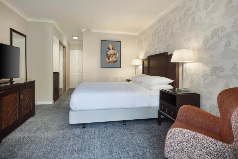 Deluxe King Room image 3