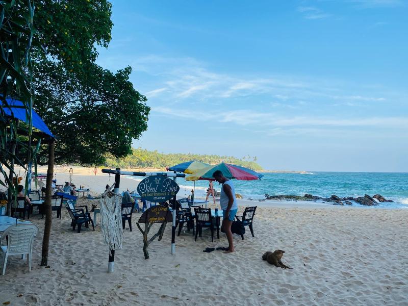 Chico Green - Tangalle - image 47