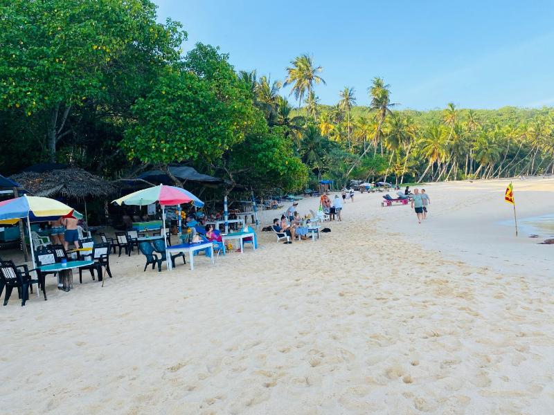 Chico Green - Tangalle - image 42
