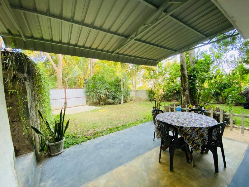Chico Green - Tangalle - image 8