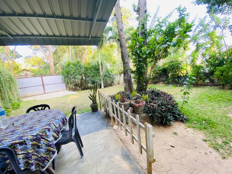 Chico Green - Tangalle - image 7