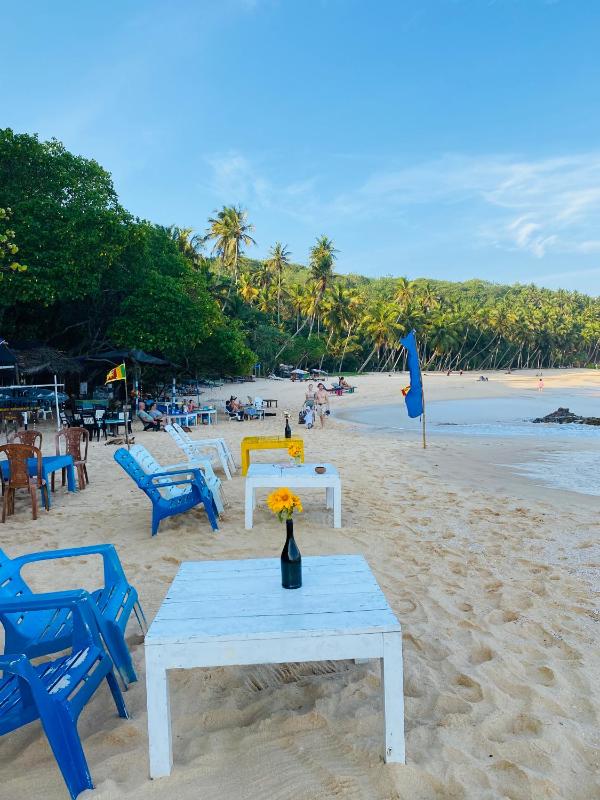 Chico Green - Tangalle - image 6