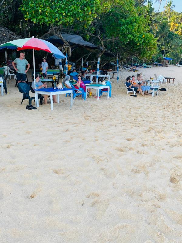 Chico Green - Tangalle - image 15