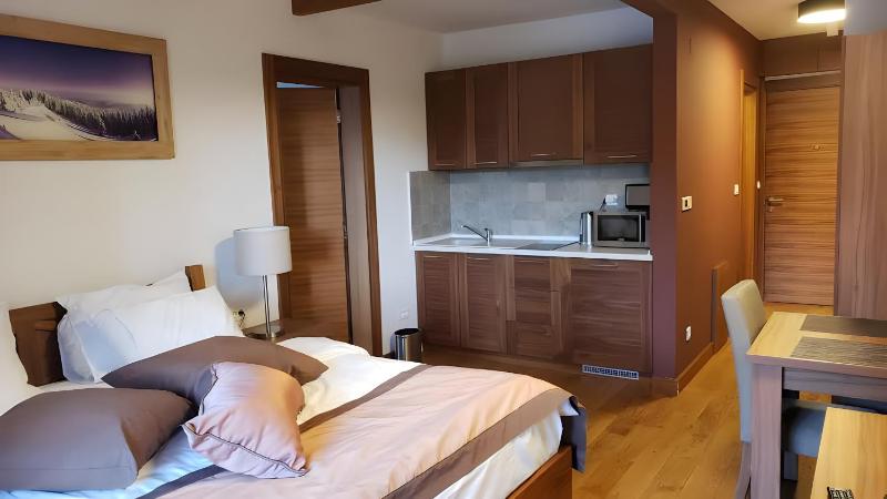 Apartment with Partial Mountain View (B230) image 4