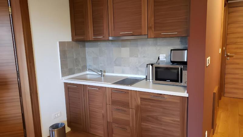Apartment with Partial Mountain View (B230) image 3