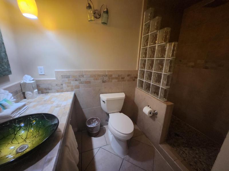 Deluxe courtyard room with spa  image 4