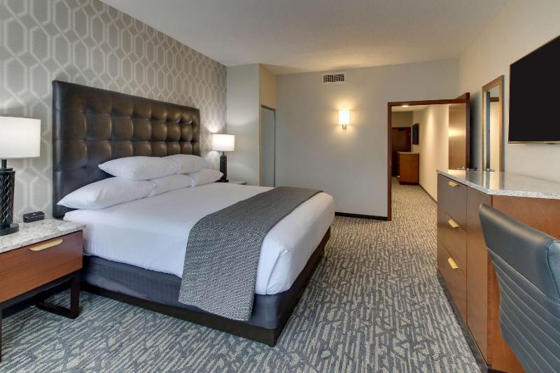 Deluxe King Suite image 3