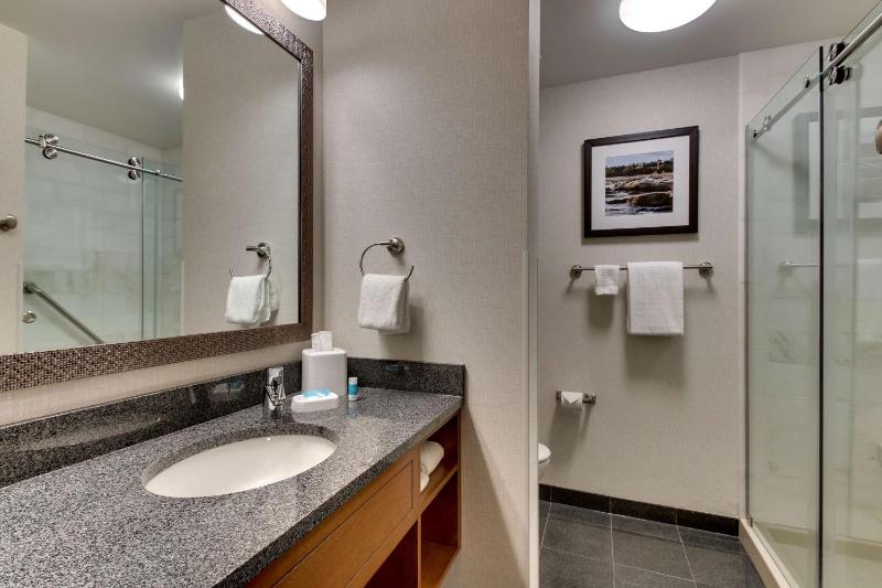 Deluxe King Suite image 2