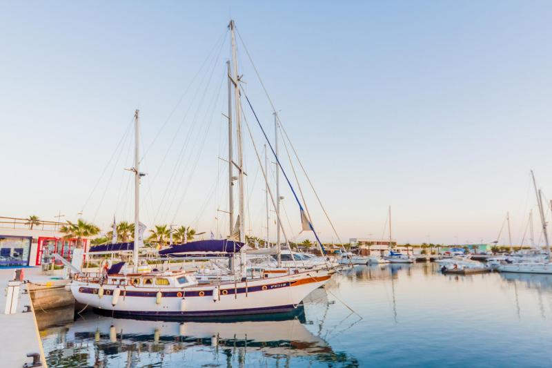 ALEGRIA ID118 - image 10