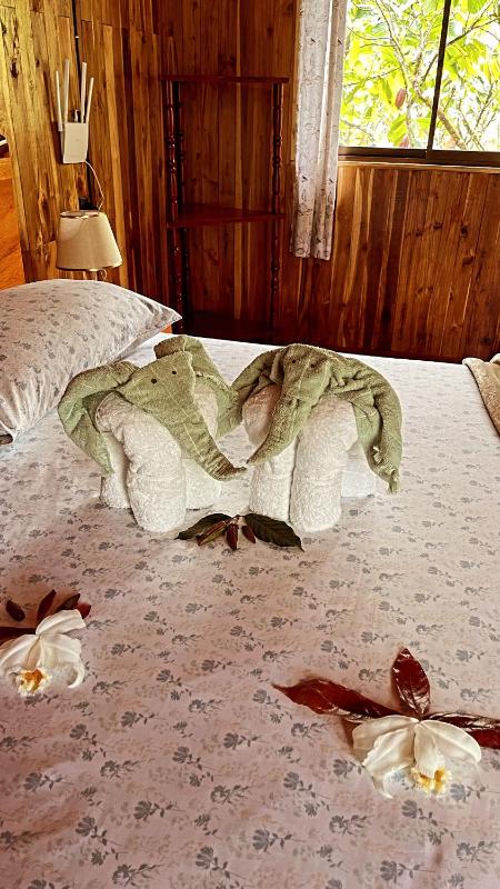 Río Celeste Cacahua Lodge - image 7