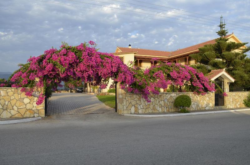 Lefki Studios Images