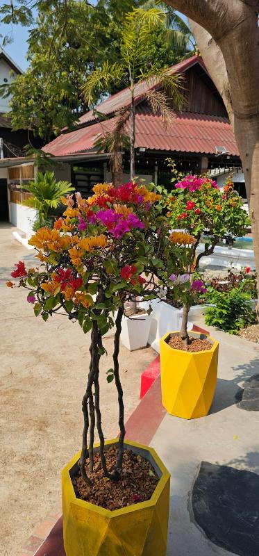 Sabaidee Guesthouse - image 11