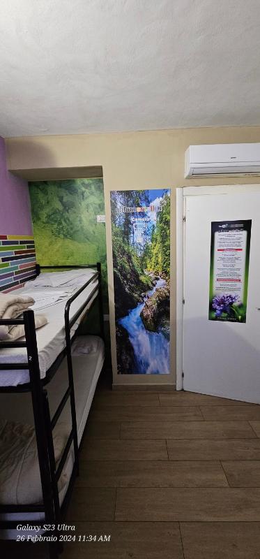 Bed in 4-Bed Male Dormitory Room image 2