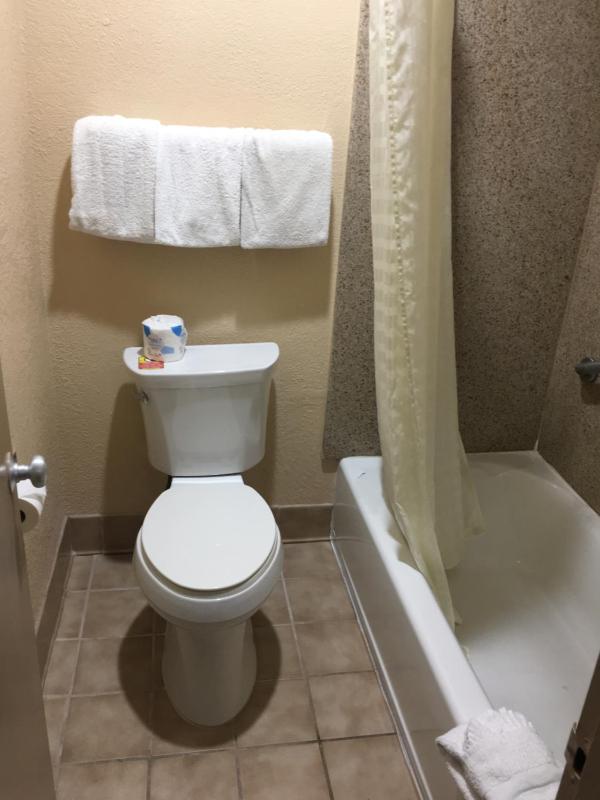 Americas Best Value Inn NRG Park Medical Center - image 32