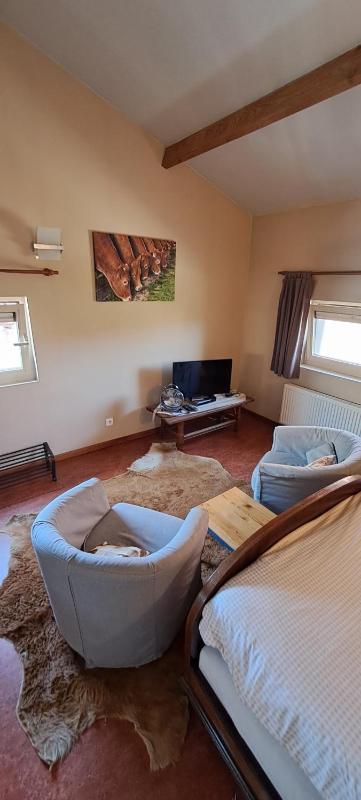 Suite image 4