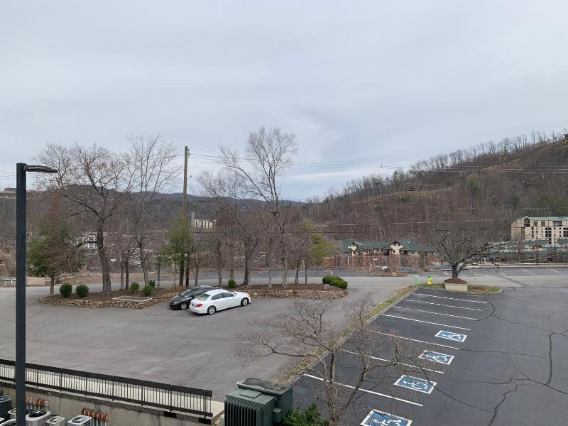 Laurel Inn 401 image 3
