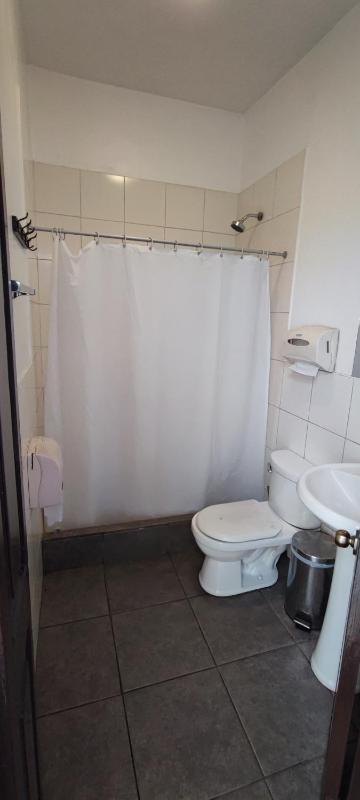 Flying Dog Hostel Arequipa - image 10