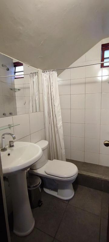 Flying Dog Hostel Arequipa - image 6