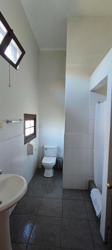 Flying Dog Hostel Arequipa - image 15