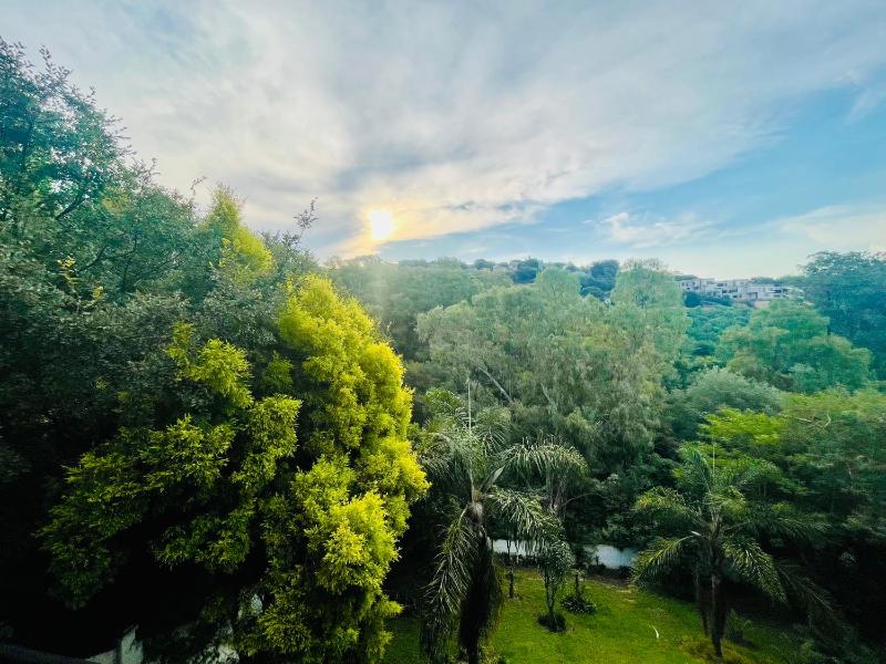 Pretoria Mansion Boutique Hotel Coral Tree - image 6