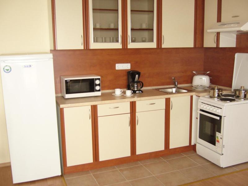 One-Bedroom Apartment with Balcony image 2