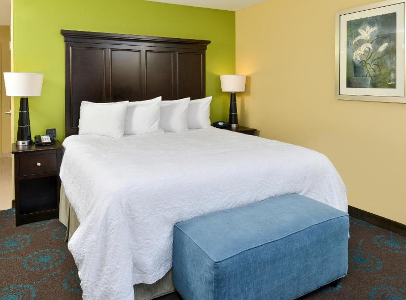 King Room with King Bed - Non-Smoking image 3