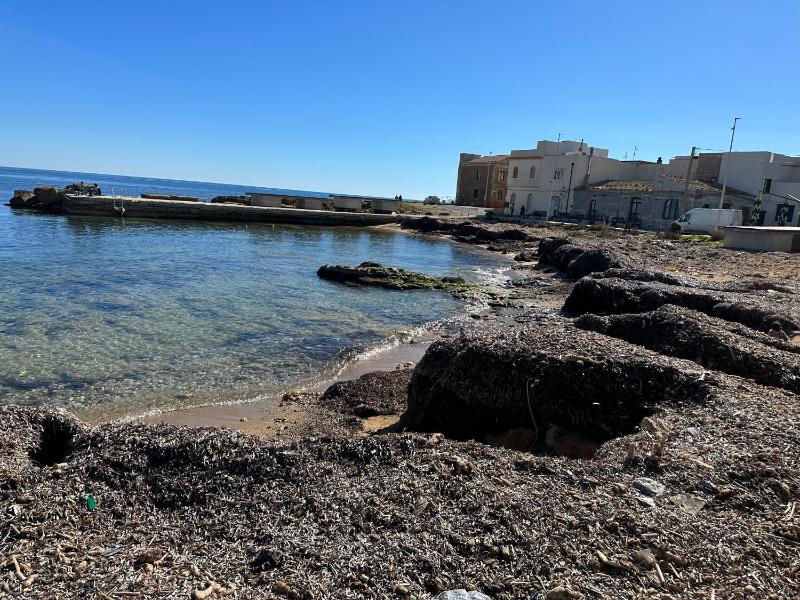 Tannur Del Carmine - image 33