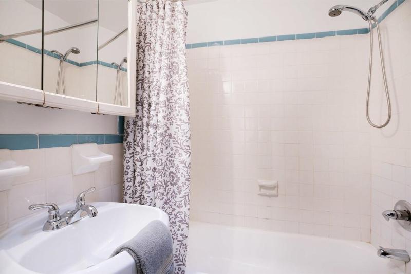 11-4F Prime west village designer 1BR - image 10