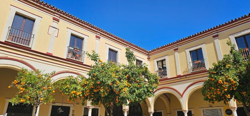 Tartaneros Duplex by Sanlúcar Housing - image 13
