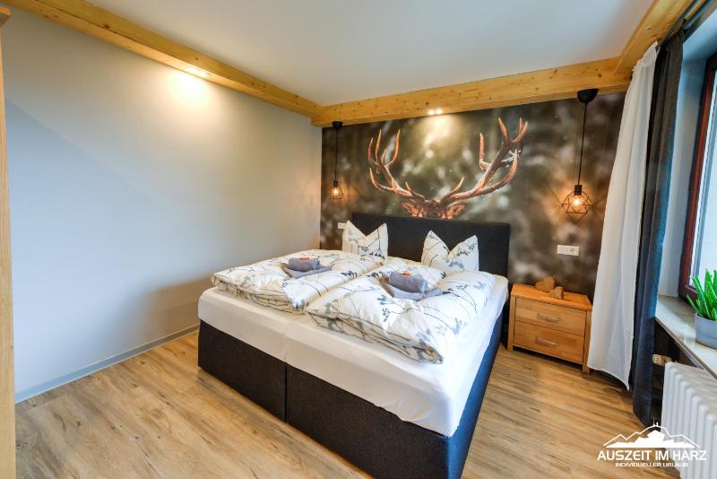 Auszeit-im-Harz Haus 3 Wohnung 1 - image 14