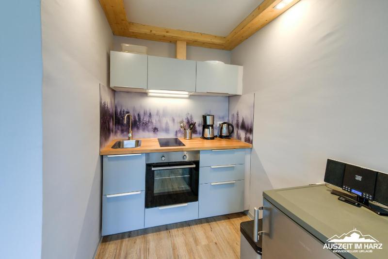Auszeit-im-Harz Haus 3 Wohnung 1 - image 7